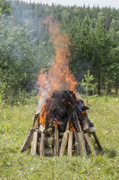 Burning Bonfire Forest Glade — Stock Photo, Image