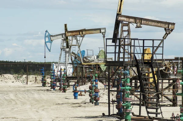 Oil production in Western Siberia. A group of pumpjacks.