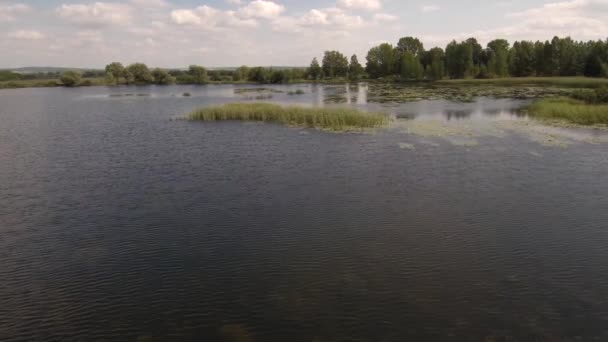 有白色水百合的采石湖 空中景观 — 图库视频影像