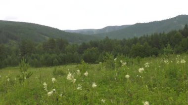 Güney Urallar. Sis dağların üzerinde hareket ediyor. x100 kat daha hızlı.