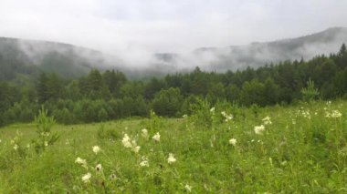 Güney Urallar. Sis dağların üzerinde hareket ediyor. x30 kat daha hızlı.