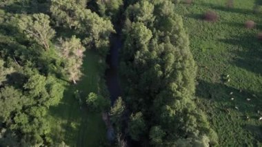 Yazın Güney Uralları. Zigan Nehri.