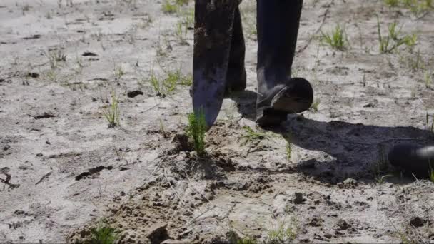 Reclamation Oil Production Site Planting Pine Seedlings — Stock Video