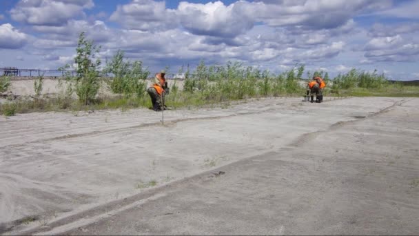 Bonifica Sito Produzione Petrolio Piantare Piantine Pino — Video Stock