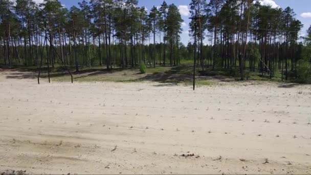 Reclamation Oil Production Site Planting Pine Seedlings — Stock Video