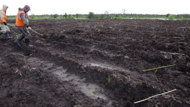 Reclamatie Van Een Aardolieproductielocatie Planten Van Wilgenzaailingen — Stockvideo