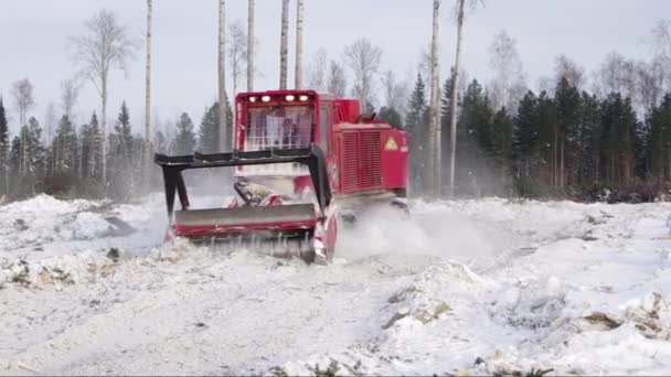 石油生産現場の再現 作業中のLamtrac Mulcher Ltr8400 落ちた者をむさぼる — ストック動画