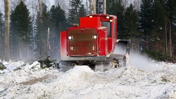 Reclamatie Van Een Aardolieproductielocatie Lamtrac Mulcher Ltr8400 Aan Het Werk — Stockvideo