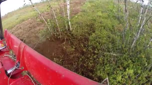 Reclamation Oil Production Site Lamtrac Mulcher Ltr8400 Work Mulching Swamp — Stock Video