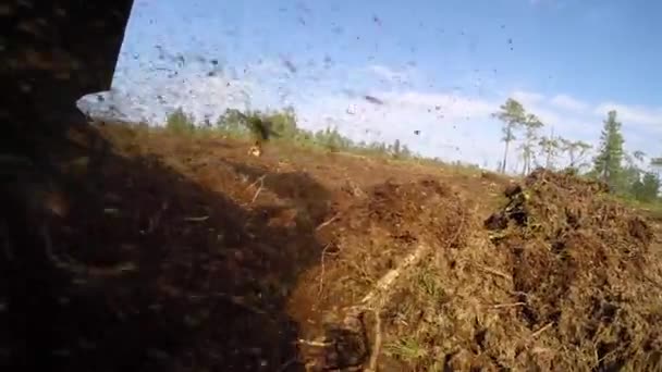 Reclamação Local Produção Petróleo Lamtrac Mulcher Ltr8400 Trabalho Mulching Pântano — Vídeo de Stock