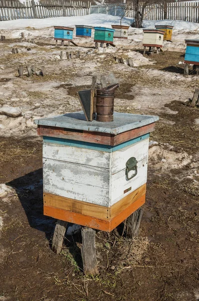 Apiary Sat Aer Liber După Iernare Apiary Fumător — Fotografie, imagine de stoc