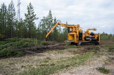Haydut 2090 parçalayıcı. Ağaç dallarından kesme alanı temizleniyor.