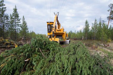 Haydut 2090 parçalayıcı. Ağaç dallarından kesme alanı temizleniyor.