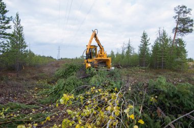 Haydut 2090 parçalayıcı. Ağaç dallarından kesme alanı temizleniyor.