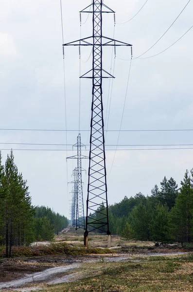 Forest management: clearing the clearing for power lines.