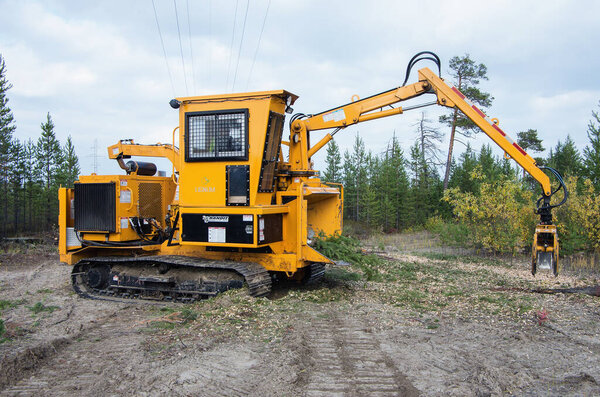 Bandit 2090 chipper. Clearing the felling site from branches.