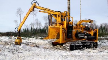 Orman sömürüsü. Kışın dallardan kesme alanını temizlemek. Haydut 2090 iş başında..