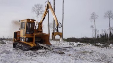 Orman sömürüsü. Kışın dallardan kesme alanını temizlemek. Haydut 2090 iş başında..