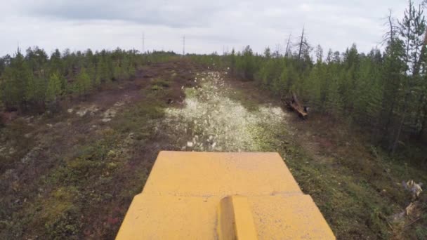 Explotación Forestal Limpiando Sitio Tala Las Ramas Bandido 2090 Astilladora — Vídeos de Stock