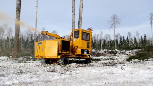 Erdőkitermelés Télen Megtisztítani Vágóhelyet Ágaktól Bandita 2090 Chipper Munkahelyen — Stock videók