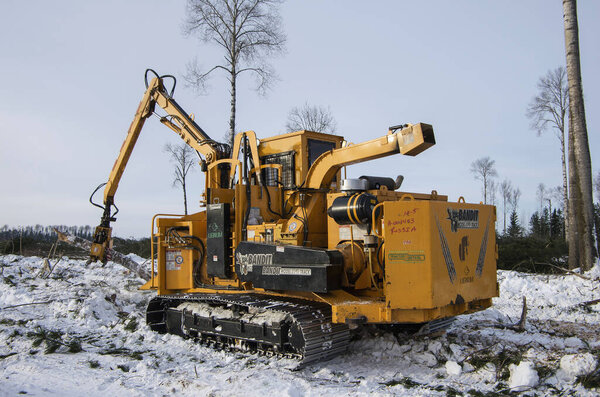 Bandit 2090 chipper. Clearing the felling site from branches.