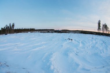 Kereste kesimi. Kışın ormanların yok edileceği yer..
