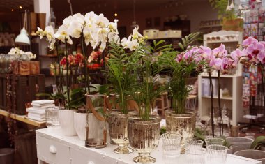 Natürmort çiçek vazo ile. İskandinav tarzı ev dekorasyon.