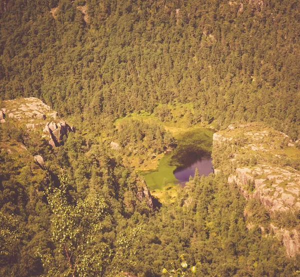 Vue Dessus Petit Lac Entouré Forêt Paysage Tourné Partir Une — Photo