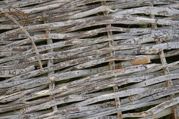 Grünes, helles Gras. Zaun aus Zweigen geflochten. — Stockfoto