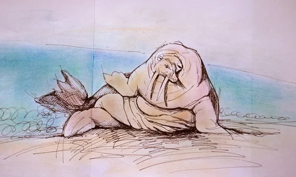 一个海象的图片坐在岸上独特的图形儿童绘图 — 图库照片