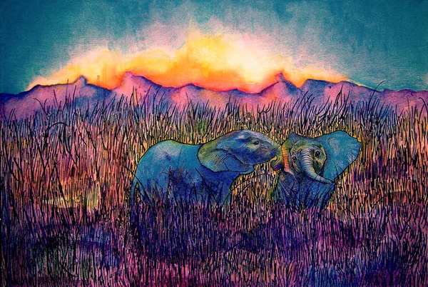 Unikalne malarstwo dwa słonie w savannah na tle zachodu słońca — Zdjęcie stockowe