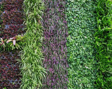 Parkta Bahçe dikey.