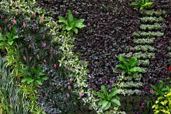 The vertical garden in the park.