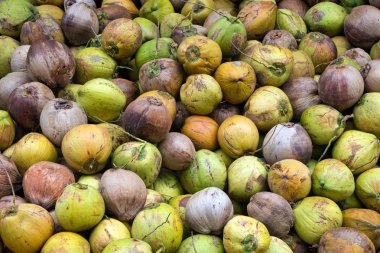 Hindistancevizi tüketimi için yığını.