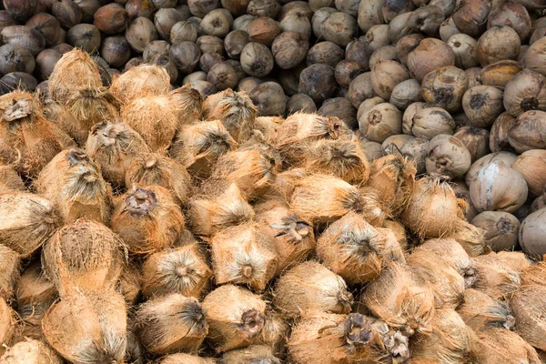 Hög Med Kokosnötter För Konsumtion — Stockfoto