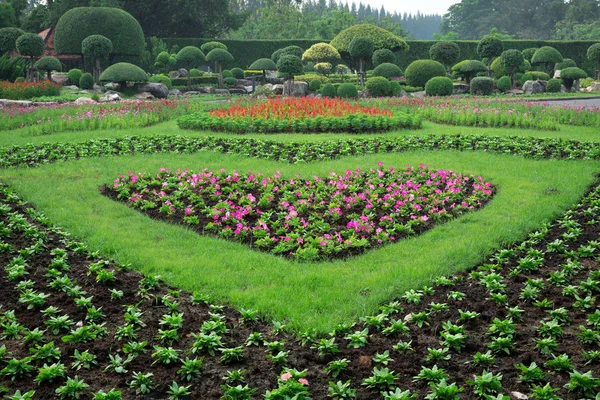 Jardinería Vertical Armonía Con Naturaleza — Foto de Stock