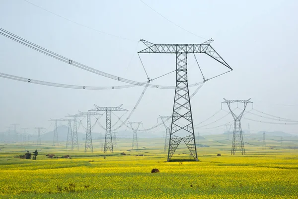 High Voltage Pole Midst Nature — Stock Photo, Image