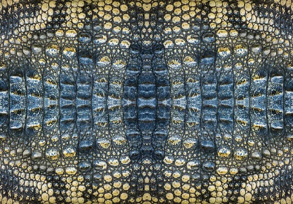 Vzor Textury Krokodýl — Stock fotografie