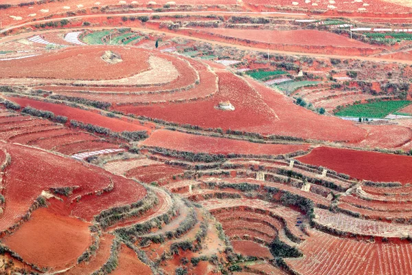 Terra Vermelha Cultivando Legumes Dong Chuan China — Fotografia de Stock