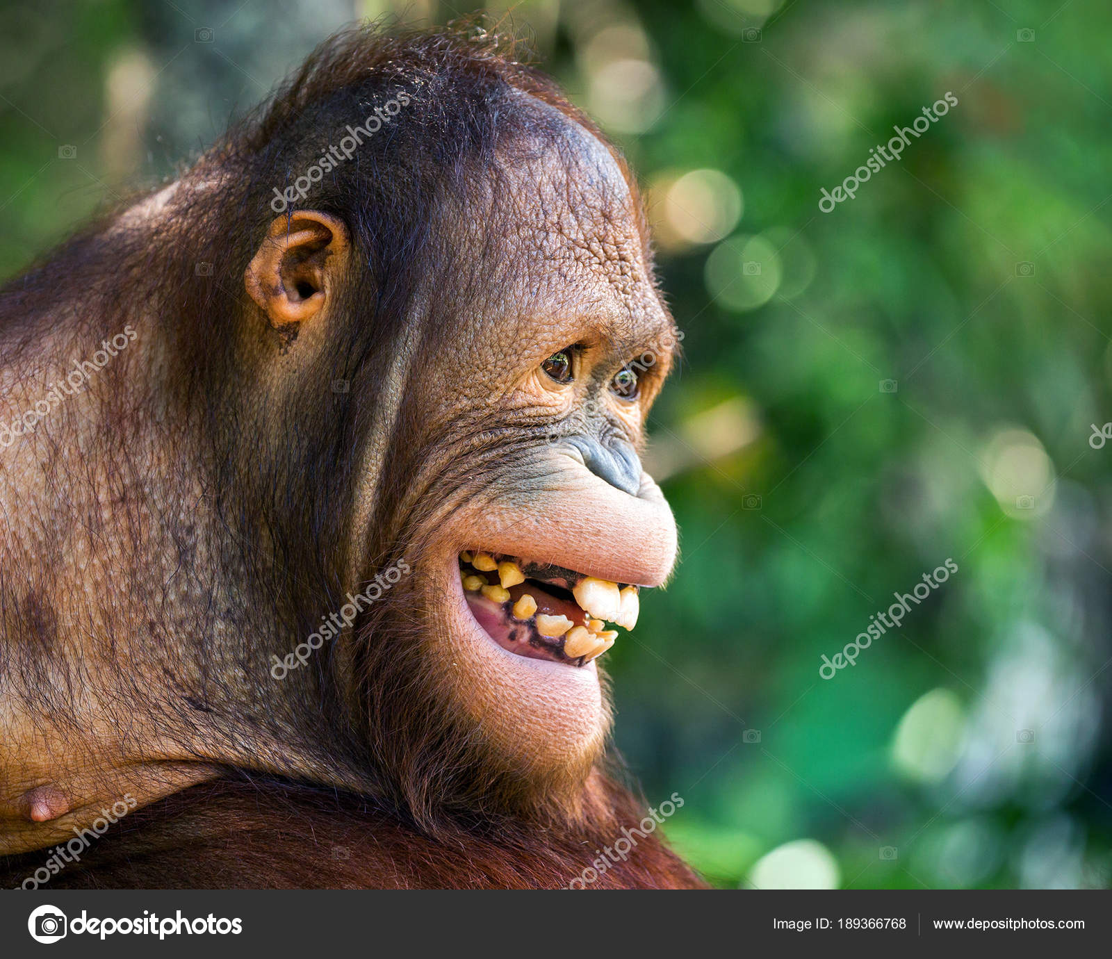 Men dushda bir yigitni sorib oldim. Mega Tits Onlayn