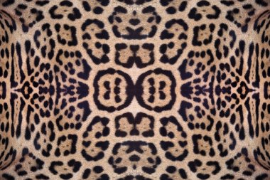 Jaguar deri desen arka planı için.