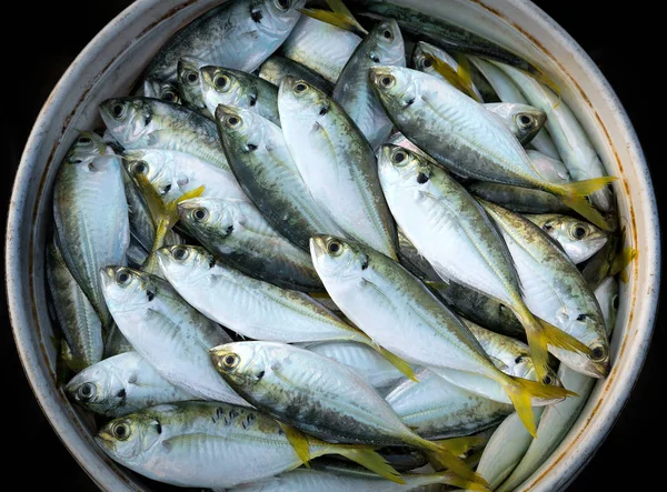 Ikan Segar Dari Laut Untuk Makanan — Stok Foto