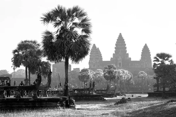 Angkor Wat Templo Siem Cosechar Cambodia —  Fotos de Stock