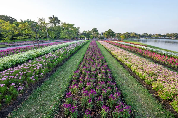 Vertical gardening in harmony with nature in the park.