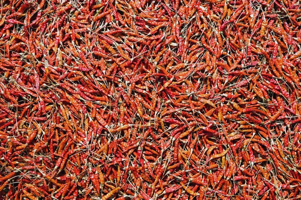 Colorful patterns of dried peppers for cooking.