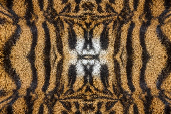 Structuur Textuur Van Tiger Voor Achtergrond — Stockfoto