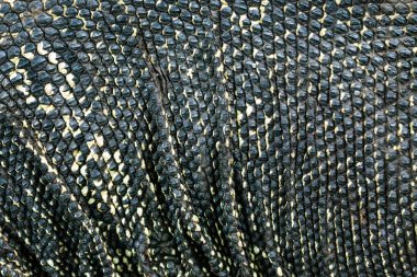 Desen ve yüzey su monitör ile.