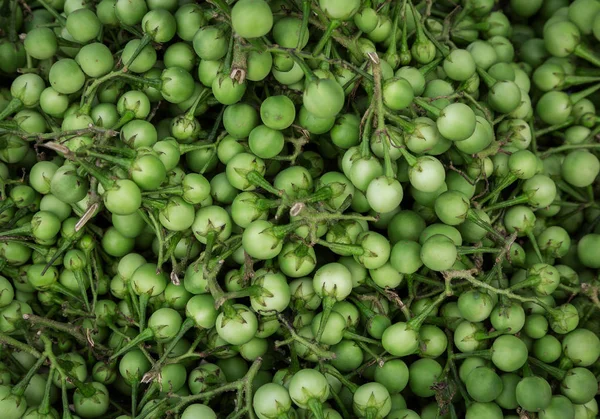 Türkiye berry (patlıcan) bitkisel otlar sağlık için iyi.