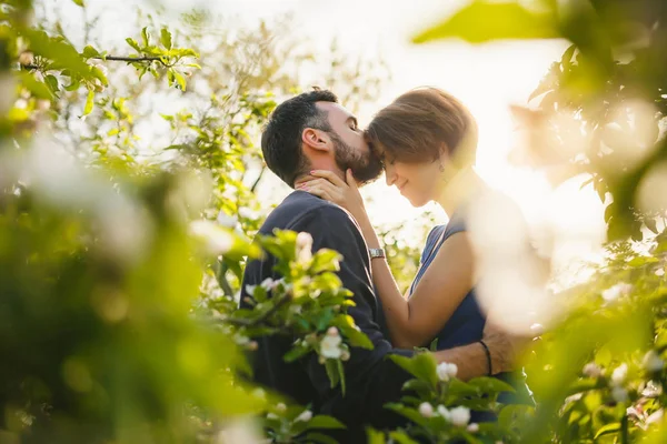 Pareja besándose en floreciente jardín en la primavera al atardecer — Foto de Stock