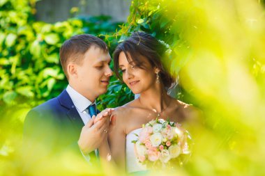 Çam ormanı içinde düğün yürüyüş. Güneşli gün.